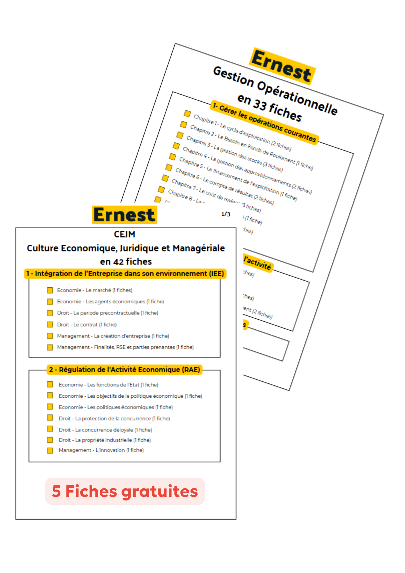 Fiches de révision CEJM et Gestion Ernest